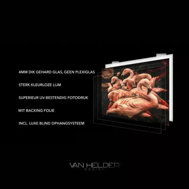 VanHelderDesignExlcusive_800x_0df74e12-b194-49d0-a48b-83b1fdd81c63 VanHelderDesignExlcusive_800x_0df74e12-b194-49d0-a48b-83b1fdd81c63