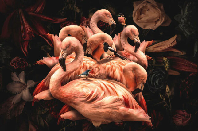 glasschilderij-flamingo
