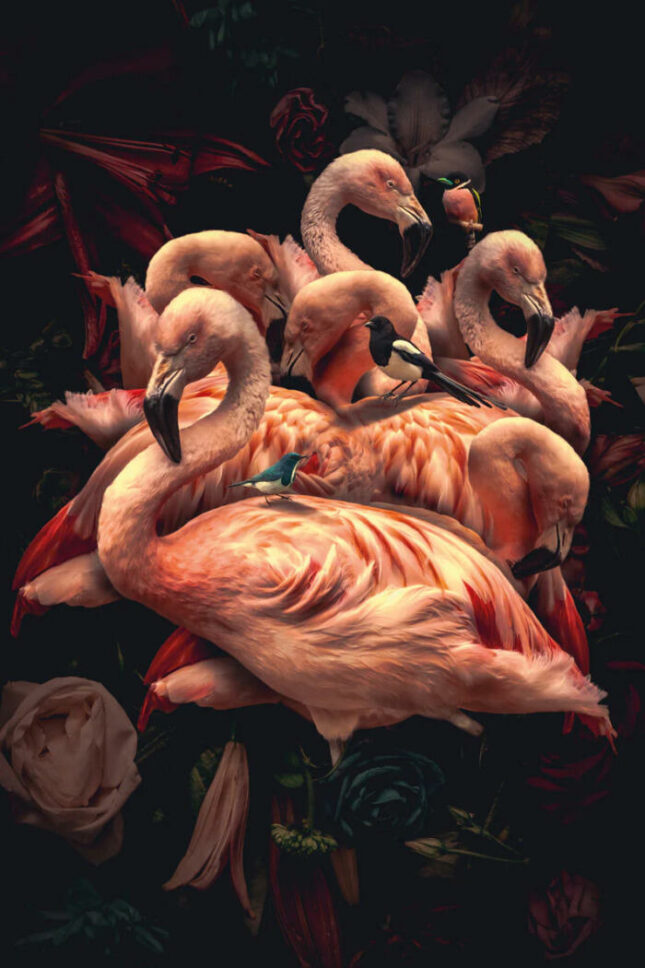 glasschilderij-flamingo-verticaal
